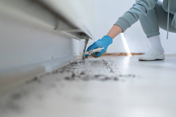 Best Exterminator Services  in Collinsville, MS